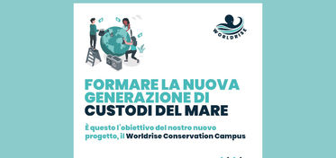 “Worldrise Conservation Campus”, a Golfo Aranci un corso per la tutela del mare 